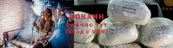 метадон Елизово
