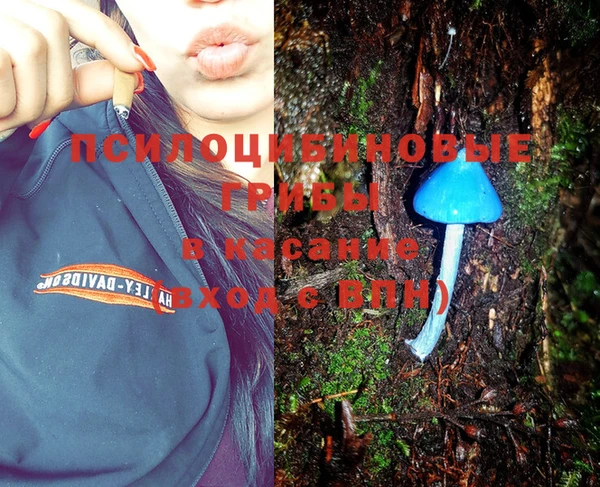 метадон Елизово