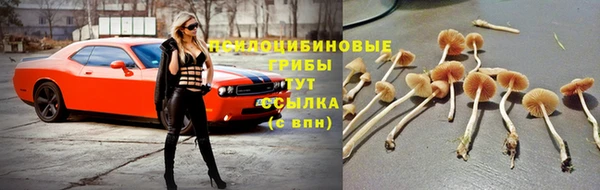 хмурый Елабуга