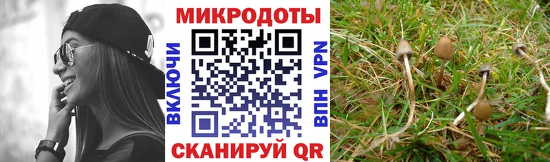 Псилоцибиновые грибы MAGIC MUSHROOMS  Иннополис 